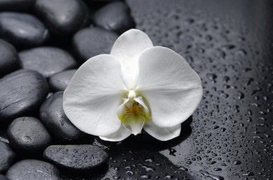 春季身体出现血淤、湿气不适的丝足调节方法